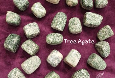 Tree Agate | Ý nghĩa của Tree Agate